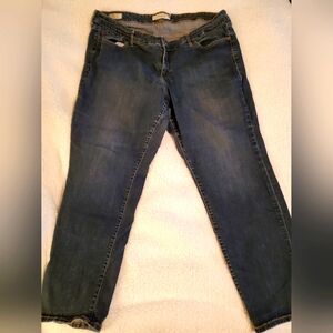 Womens Torrid  Jeans.  size 24. Boyfriend style. In good condition